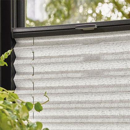 Top Down Bottom Up Pleated Blinds